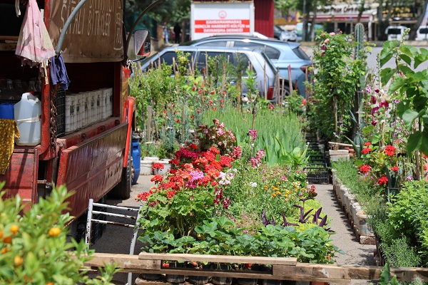 Foto - 10 yaşında başladı 60 yıldır bu işi yapıyor