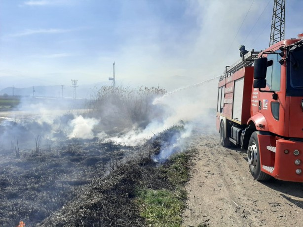 10 yavru köpek çıkan yangında telef oldu!