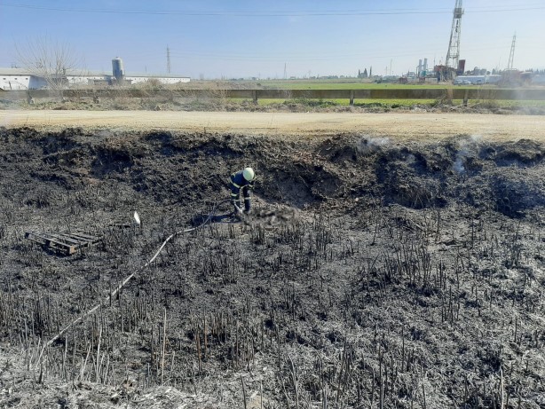 Foto - 10 yavru köpek çıkan yangında telef oldu!