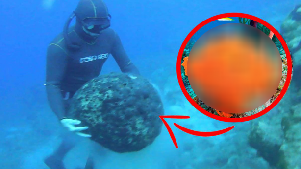 10 yıl boyunca dayanıyor, denizin derinliklerinden çıkarılıyor! Al sana uzun vadeli yatırım! Kilosu tam 8 bin TL'den satılıyor