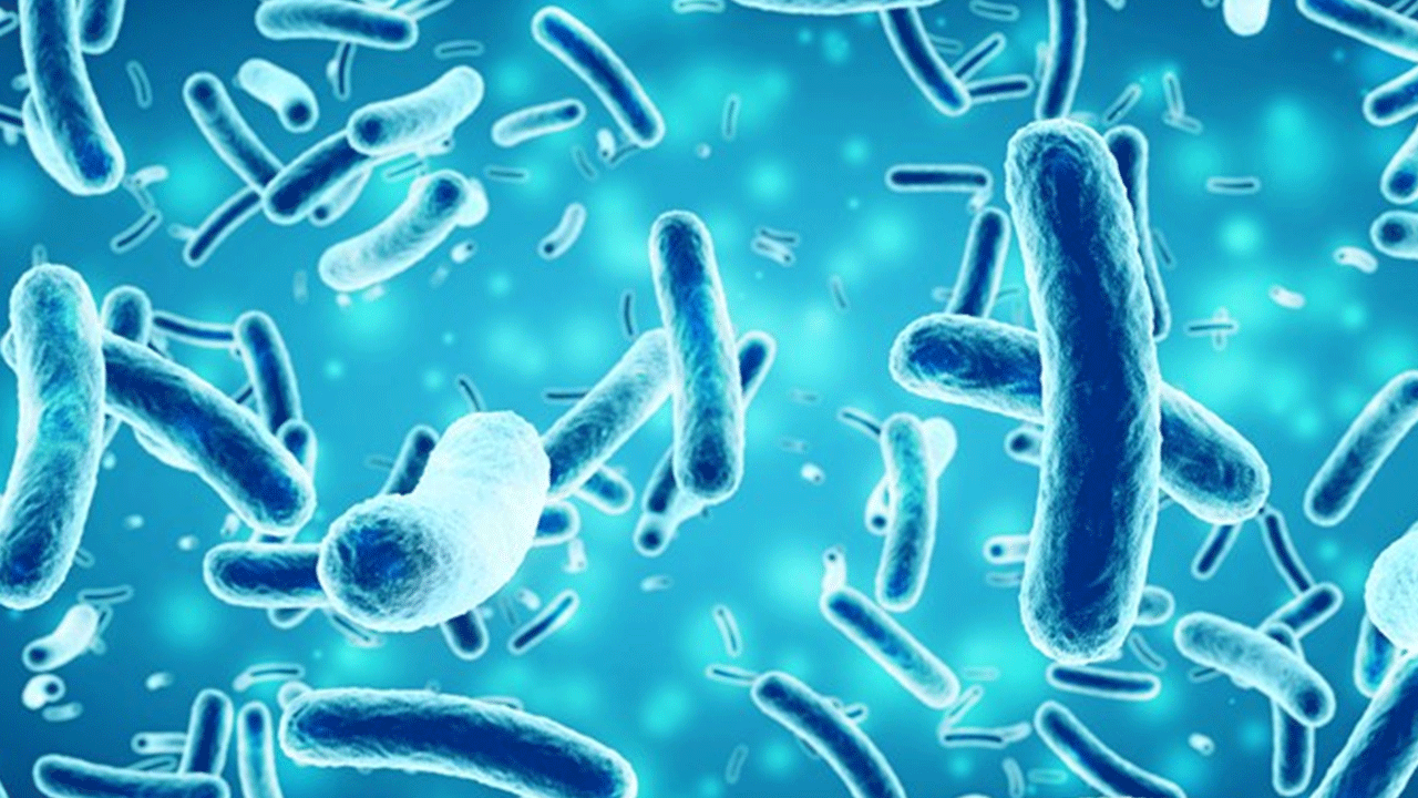 Foto - Hiçbir şey eskisi gibi olmayacak: 10 yıllık sorunu 2 günde çözdü!