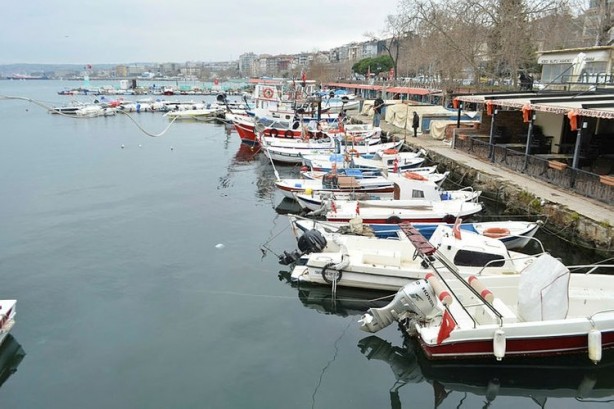 10 yıl sonra geri döndü! Marmara'da korkulu rüya