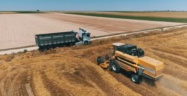 Foto - 10 yıldır böylesi görülmedi! Çiftçiler şaşkın