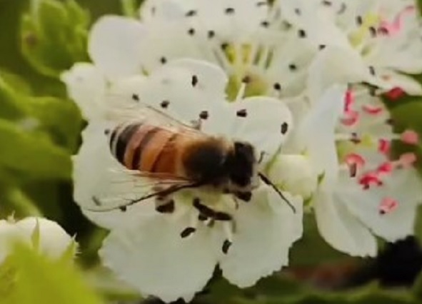 10 yılın en verimsiz sezonu yaşandı