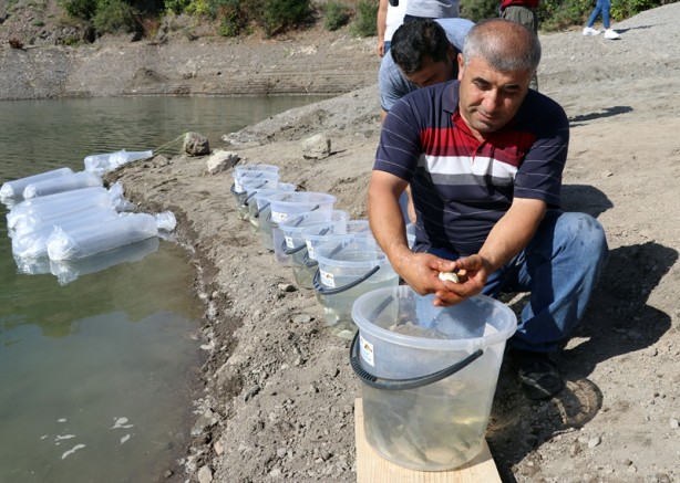Foto - 100 bin tane! Baraja bıraktılar