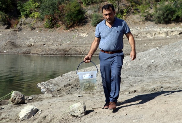 Foto - 100 bin tane! Baraja bıraktılar