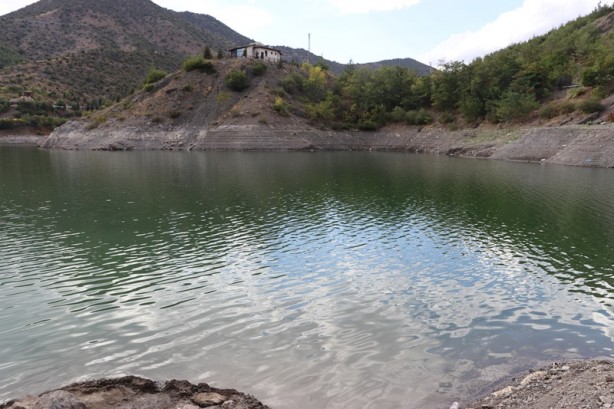 Foto - 100 bin tane! Baraja bıraktılar