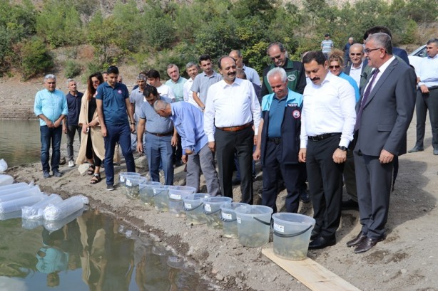 Foto - 100 bin tane! Baraja bıraktılar
