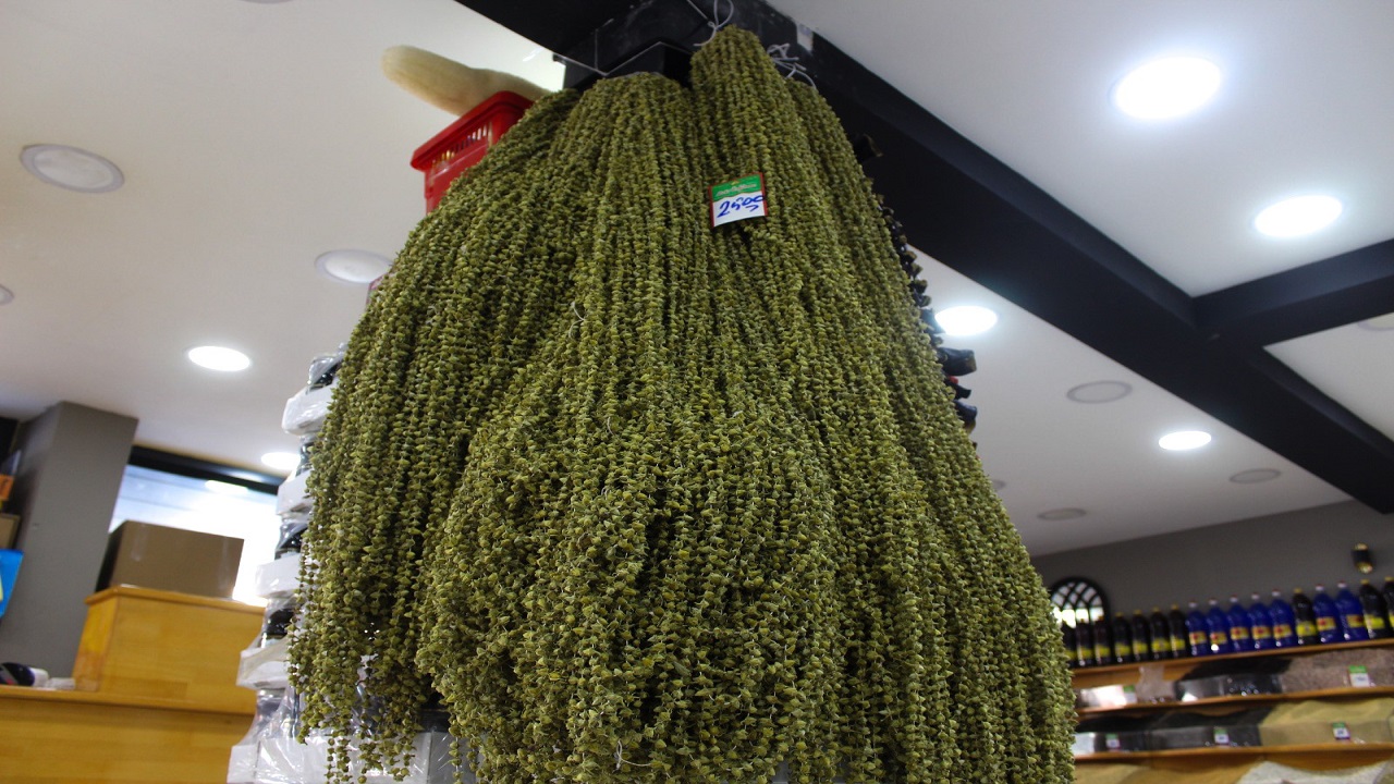 Foto - 100 gramıyla 4 kişilik aile doyuyor! Altın değerinde şifa kaynağı