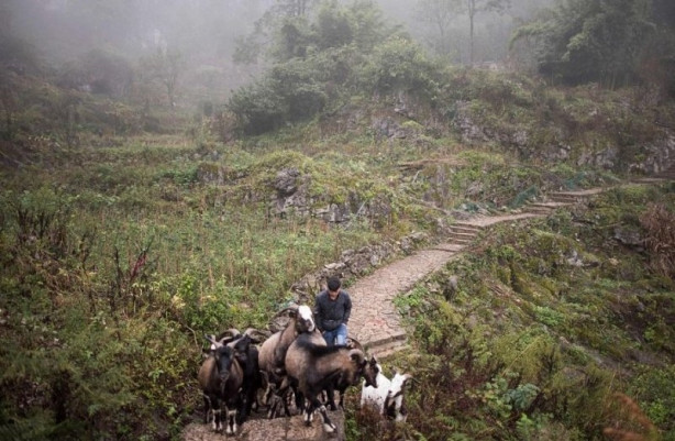 Foto - 100 kişilik mağara köy: Zhongdong