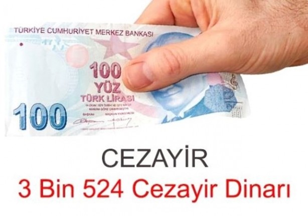 Foto - 100 Türk Lirası hangi ülkede ne kadar ediyor?