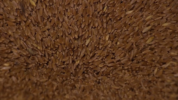 Foto - 100 yıllık değirmen böyle ayağa kalktı