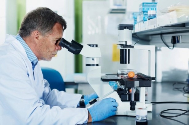 Foto - 1000 kişi başına kaç kişi düşüyor! İşte en fazla bilim insanına sahip ülkeler 