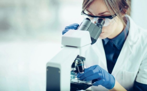 Foto - 1000 kişi başına kaç kişi düşüyor! İşte en fazla bilim insanına sahip ülkeler 