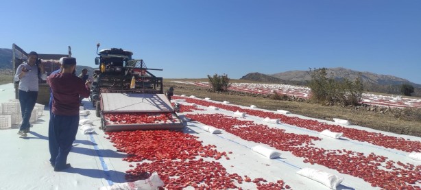 Foto - 100’den fazla ülkeye gidiyor! Deneme amaçlı yapıldı sonuç inanılmaz