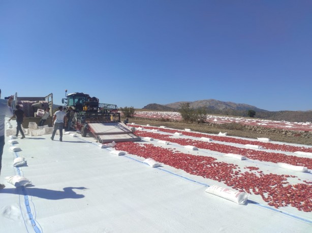 Foto - 100’den fazla ülkeye gidiyor! Deneme amaçlı yapıldı sonuç inanılmaz
