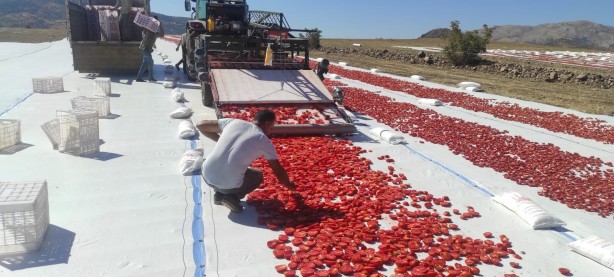 Foto - 100’den fazla ülkeye gidiyor! Deneme amaçlı yapıldı sonuç inanılmaz