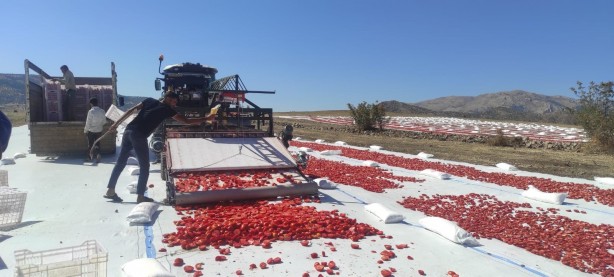 Foto - 100’den fazla ülkeye gidiyor! Deneme amaçlı yapıldı sonuç inanılmaz