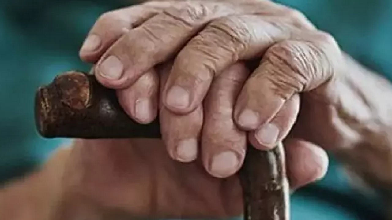 Foto - 104 yaşında hafızasıyla görenleri şaşırtıyor! Fil gibi hafızasının sırrı: Uzun yıllar boyunca bunu uygulamış