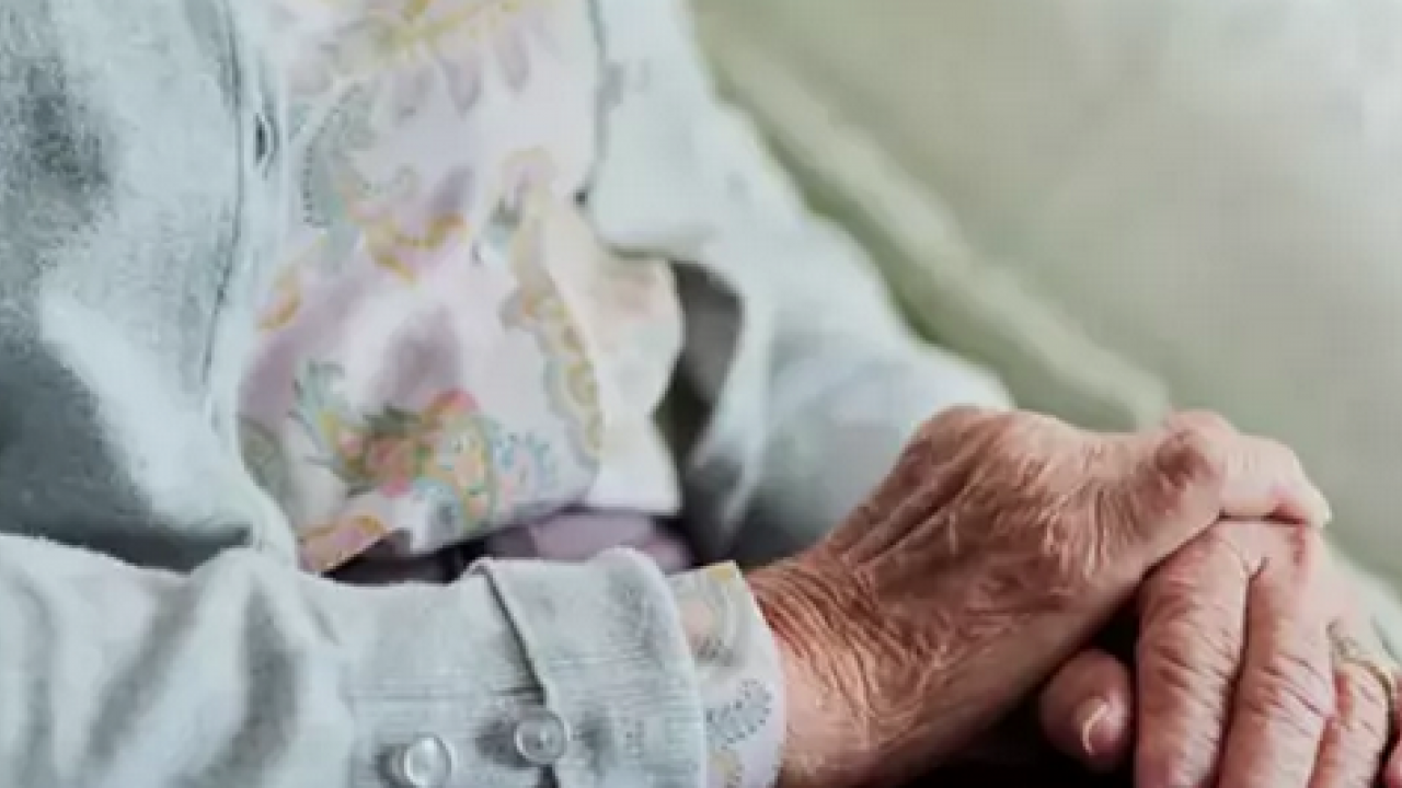 104 yaşında hafızasıyla görenleri şaşırtıyor! Fil gibi hafızasının sırrı: Uzun yıllar boyunca bunu uygulamış