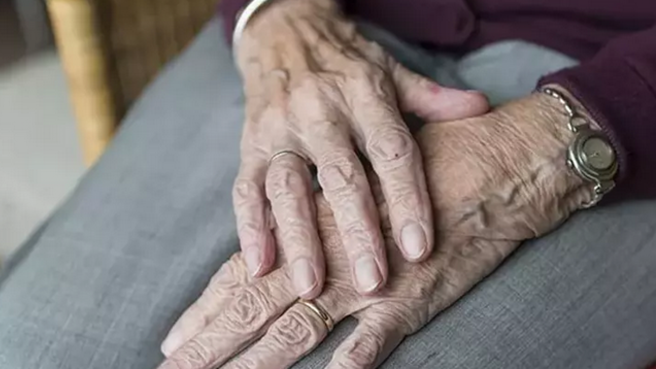 Foto - 104 yaşında hafızasıyla görenleri şaşırtıyor! Fil gibi hafızasının sırrı: Uzun yıllar boyunca bunu uygulamış