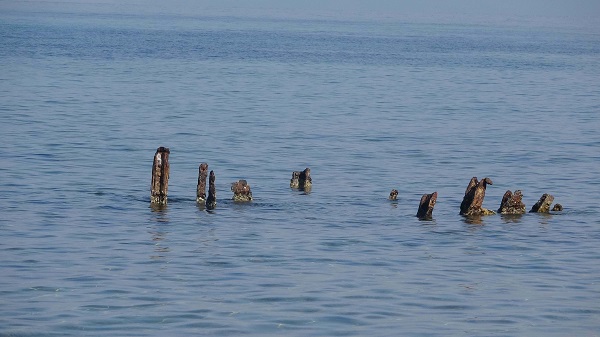 Foto - 109 yıl geçti ama izler hala canlı! Çanakkale Savaşı'nda İngilizler bakın bunları niye kullanmış