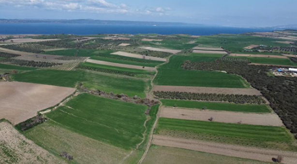 Foto - 109 yıl sonra gün yüzüne çıktı: Çanakkale’nin kayıp şehitliği