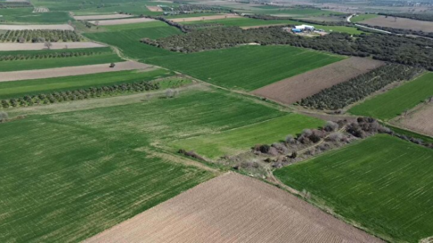 Foto - 109 yıl sonra gün yüzüne çıktı: Çanakkale’nin kayıp şehitliği