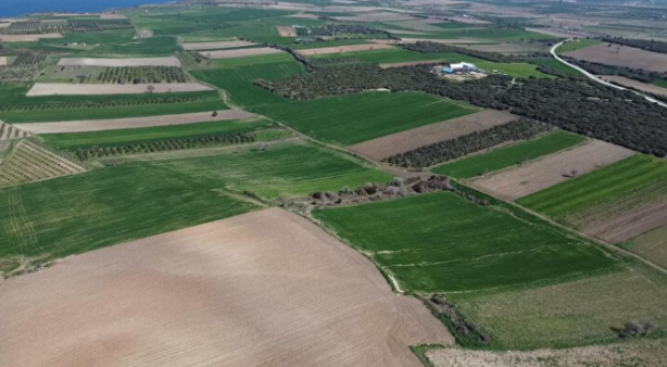 Foto - 109 yıl sonra gün yüzüne çıktı: Çanakkale’nin kayıp şehitliği