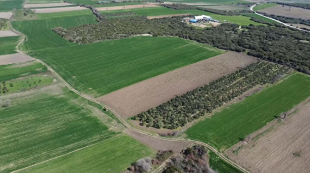 Foto - 109 yıl sonra gün yüzüne çıktı: Çanakkale’nin kayıp şehitliği