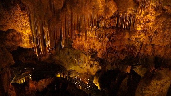 Foto - 11 ayda 60 bin kişi ziyaret etti