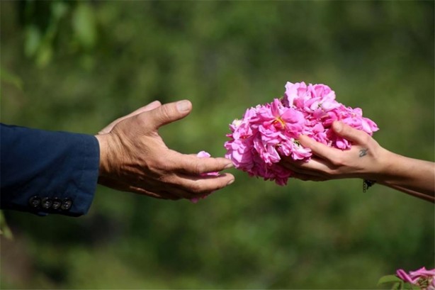 Foto - 11 aylık emeğin karşılığını 25 günde alıyorlar