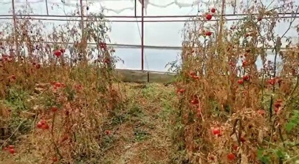 Foto - 11 gün sonra cansız bedenleri bulundu! Bırakılan not şüpheleri arttırdı