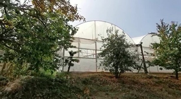 Foto - 11 gün sonra cansız bedenleri bulundu! Bırakılan not şüpheleri arttırdı