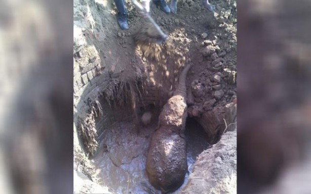 Foto - 11 saattir toprağı kazan filin çıkardığı şey tüm köyü şaşkına uğrattı! Böylesi beklenmiyordu