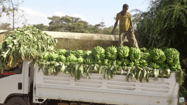 Foto - 11 saattir toprağı kazan filin çıkardığı şey tüm köyü şaşkına uğrattı! Böylesi beklenmiyordu