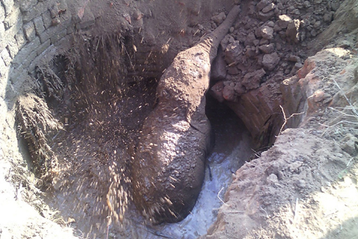 Foto - 11 saattir toprağı kazan filin çıkardığı şey tüm köyü şaşkına uğrattı! Böylesi beklenmiyordu