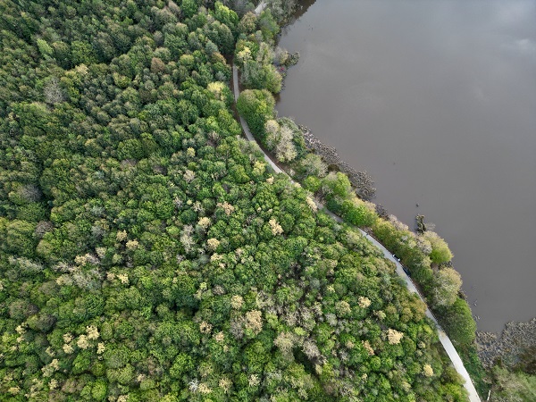 Foto - 11 yıl önce tescillendi! Manzarası hayran bırakıyor