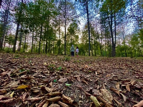 Foto - 11 yıl önce tescillendi! Manzarası hayran bırakıyor