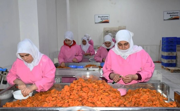 Foto - 115 ülke Malatya'dan satın aldı! ABD, İngiltere, Fransa 'Yetmez, gönderin biraz daha' diyor