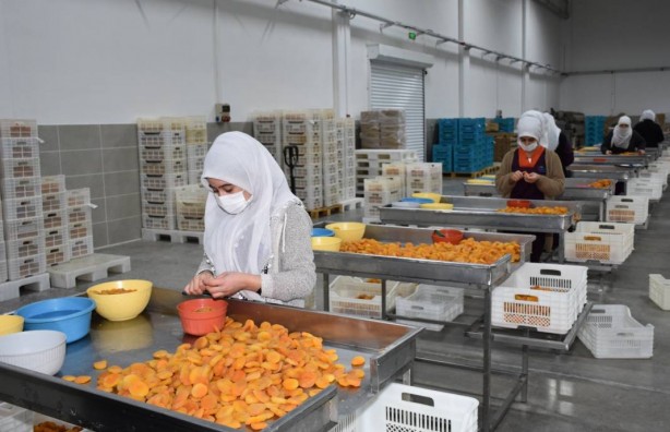 Foto - 115 ülke Malatya'dan satın aldı! ABD, İngiltere, Fransa 'Yetmez, gönderin biraz daha' diyor