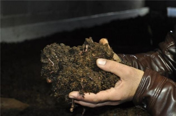  12 bin TL ile başladı sadece 10 ayda 120 bin TL kazandı!