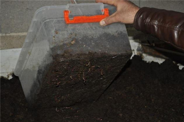 Foto - 12 bin TL ile başladı sadece 10 ayda 120 bin TL kazandı!