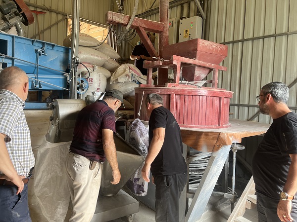 Foto - 12 bin yıldır genetiği değişmedi