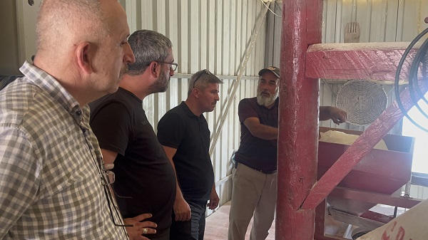 Foto - 12 bin yıldır genetiği değişmedi