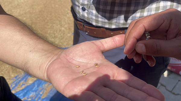 Foto - 12 bin yıldır genetiği değişmedi