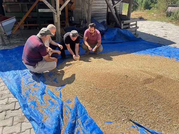 Foto - 12 bin yıldır genetiği değişmedi