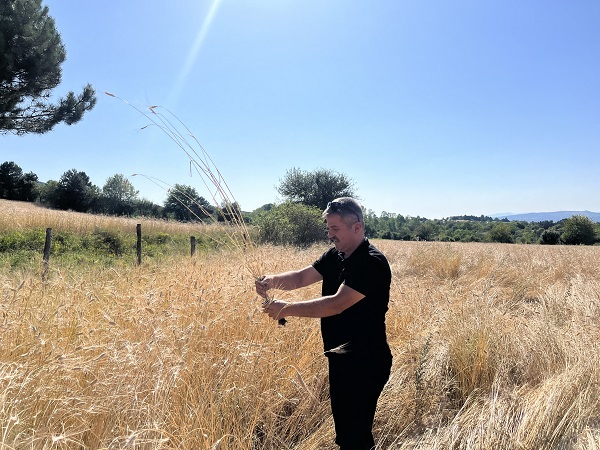 Foto - 12 bin yıldır genetiği değişmedi