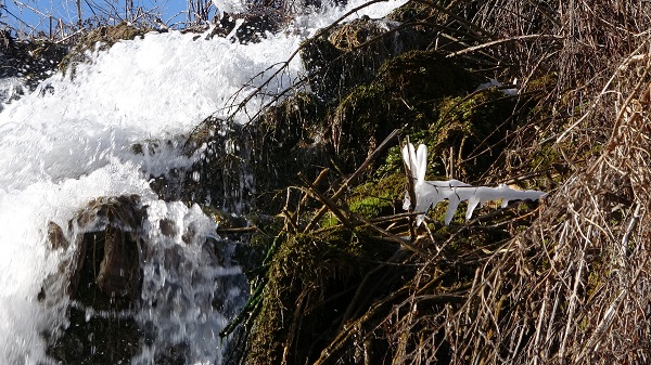 Foto - -12 derecede şelale dondu