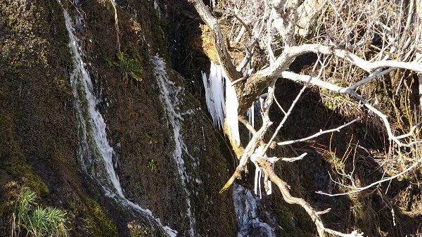 Foto - -12 derecede şelale dondu